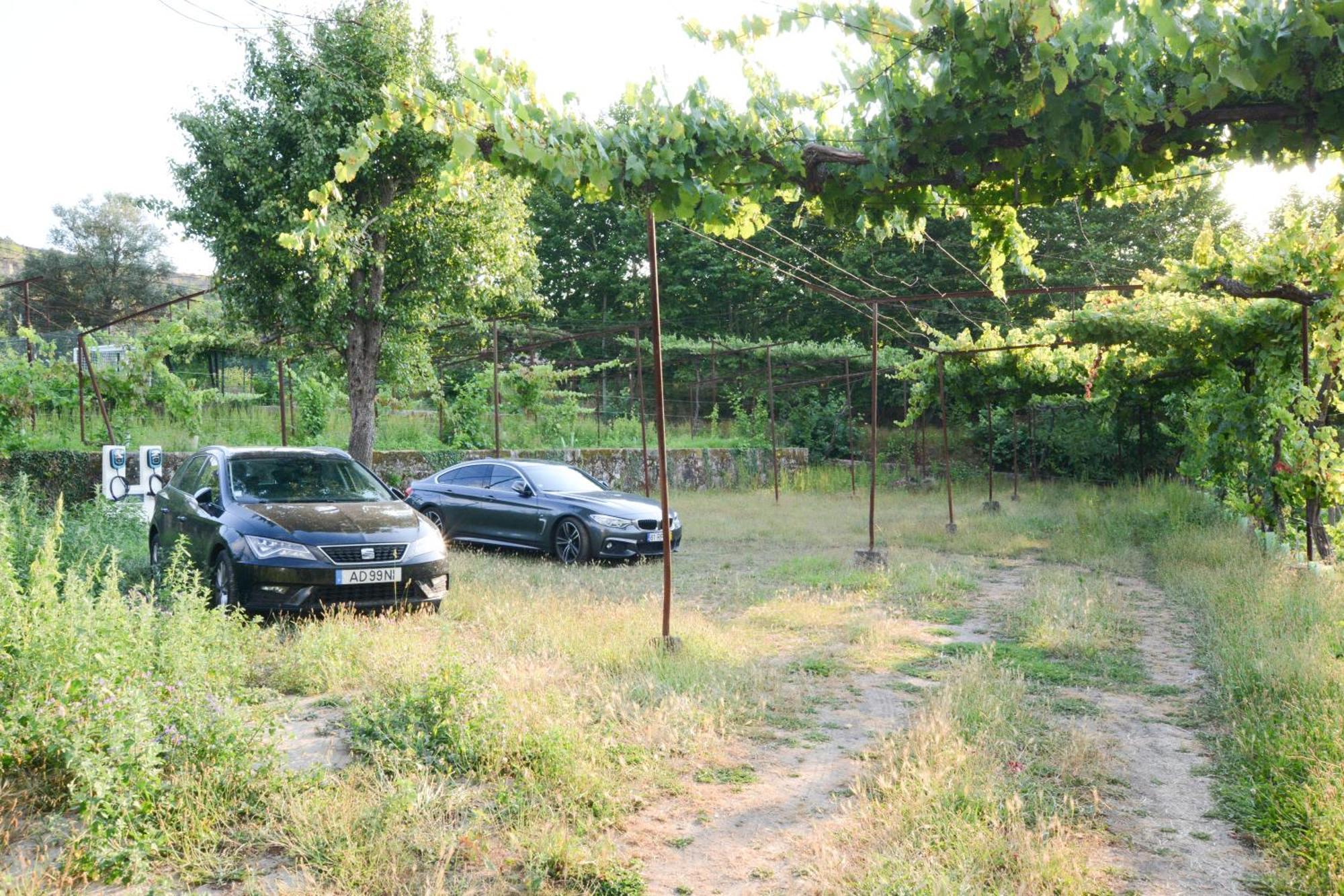 몬딤데바스토 Quinta Do Fundo 빌라 외부 사진